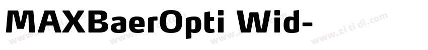 MAXBaerOpti Wid字体转换
